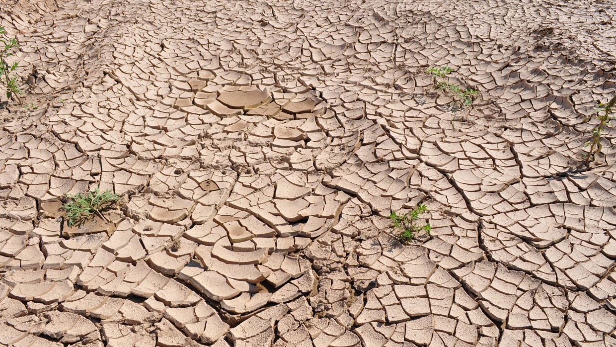 Экологи перечислили ожидаемые климатические риски в России