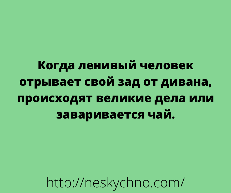 Отборные шутки — новая порция юмора Отборные шутки — новая порция юмора