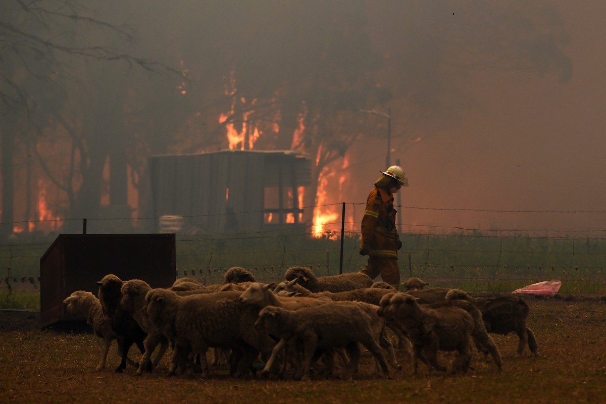 Австралийские лесные пожары оставляют сожженные автомобили, дома и сотни бездомных на Рождество Более, круглосуточно, пеплом, обугленную, железнодорожную, линию, превращенные, руины, Тысячи, измученных, пожарных, работают, опасаются, автомобили, пожары, будут, только, распространяться, тепловой, волны