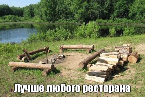 Прикольные картинки дня (55 шт)