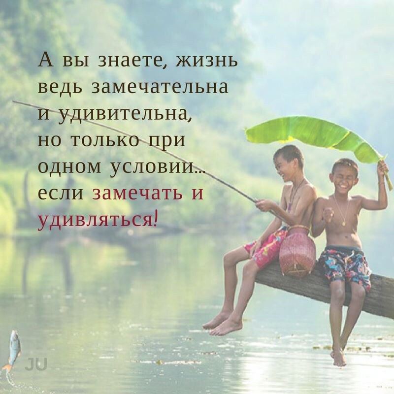 Кто, открытка какая вы замечательная жизнь