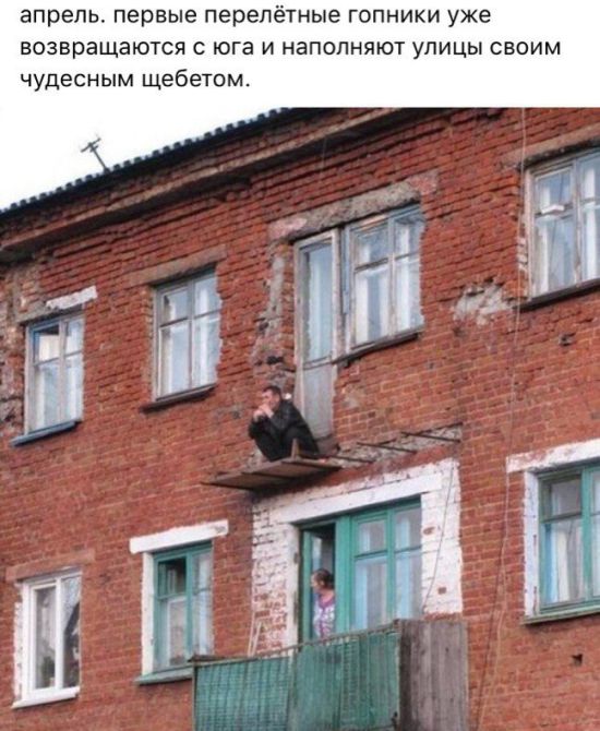 Прикольные картинки. Дневной выпуск (55 фото)