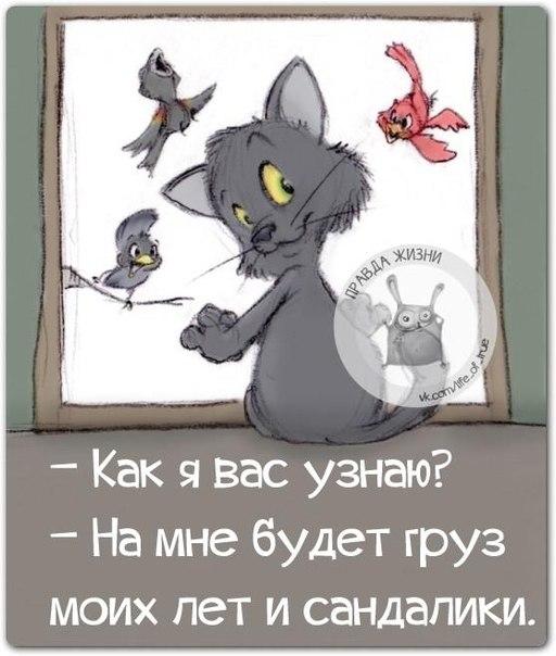 Трудно в темной комнате найти черные носки, если они не пахнут                                 