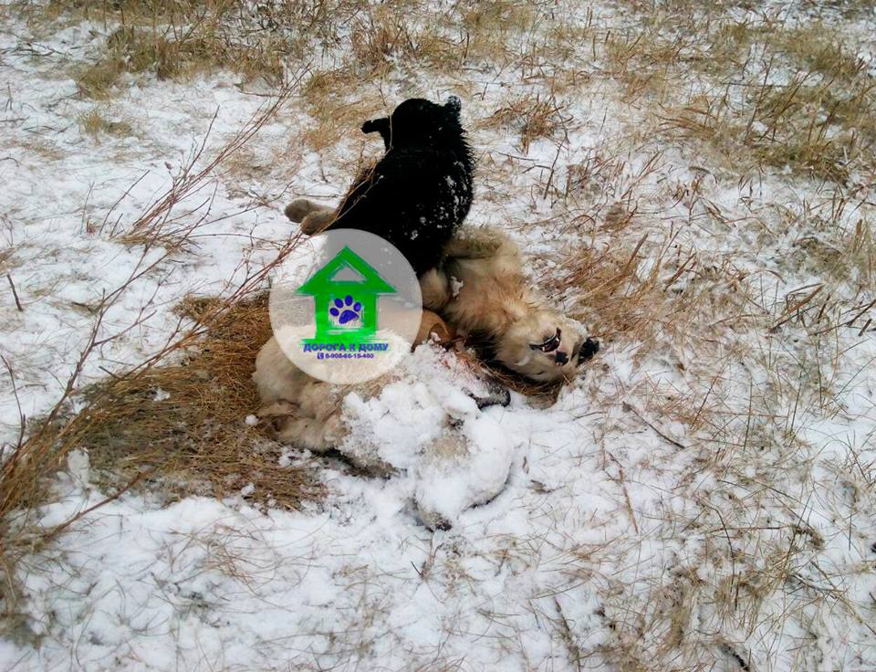 FotorCreated