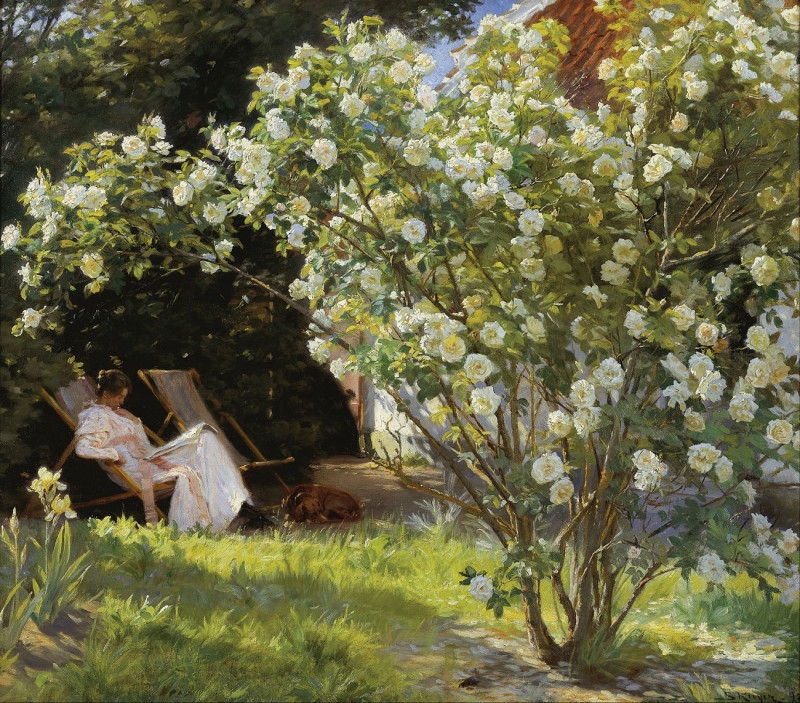 Розы. Мари Крёйер в саду у дома миссис Бендсен, П. С. Крёйер (1893)