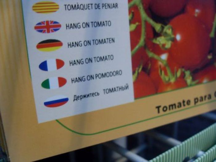 Сложности перевода. Очень улыбательно! Сложности перевода. Очень улыбательно! картинки,юмор