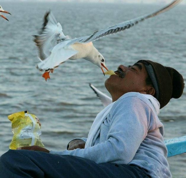 Подборка смешных картинок Подборка смешных картинок смешные картинки