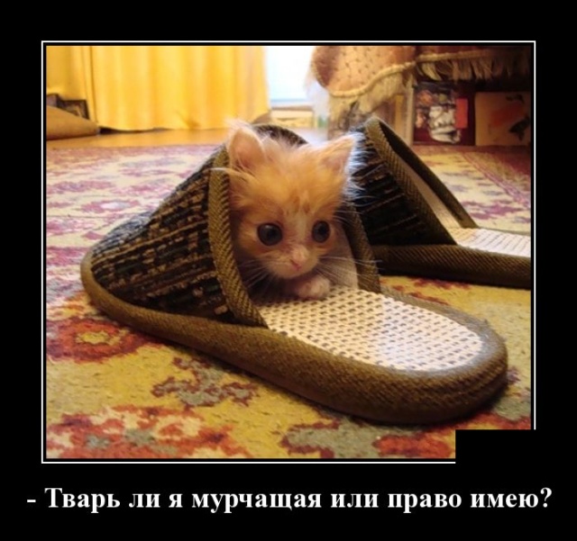 Подборка смешных и забавных демотиваторов из сети Подборка смешных и забавных демотиваторов из сети демотиваторы свежие,приколы,смешные демотиваторы,юмор