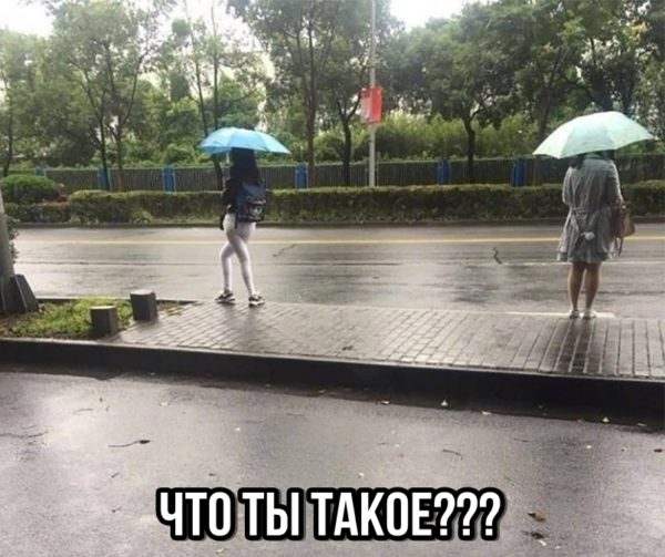 Солянка юмора из сети №5