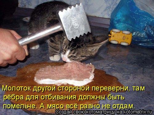 Лучшая котоматрица этой недели Лучшая котоматрица этой недели позитив