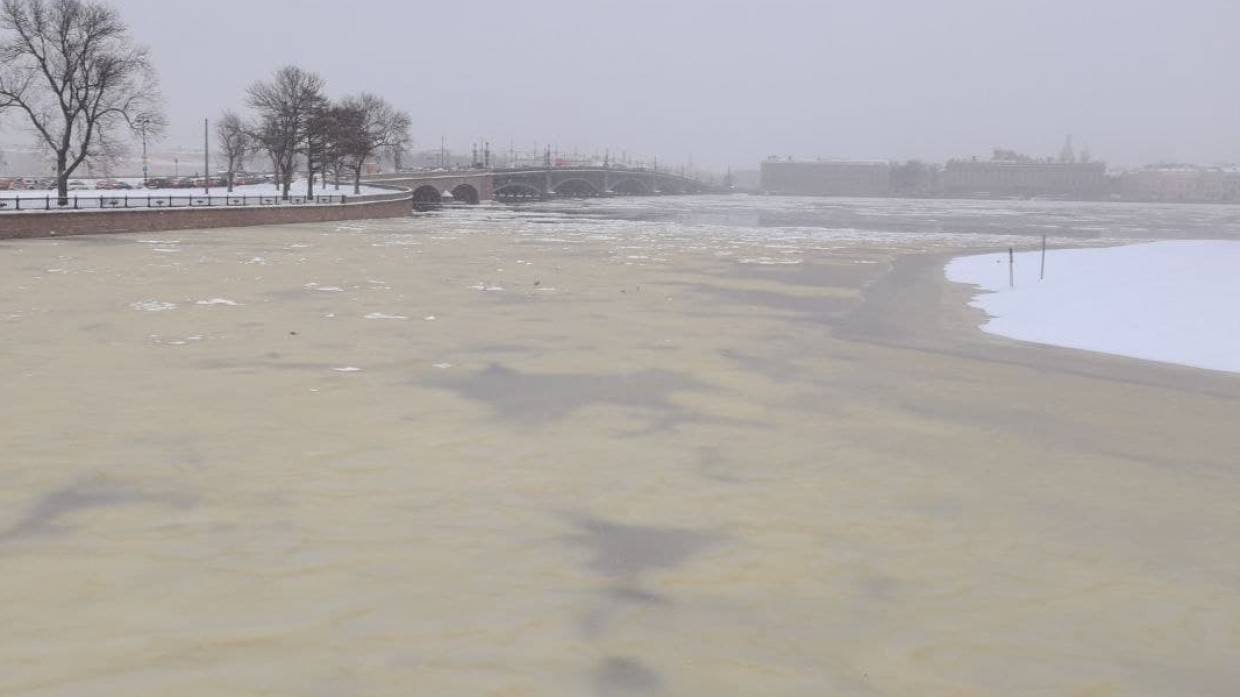 Маленький сын миллиардера Логунова утонул в водах Невы