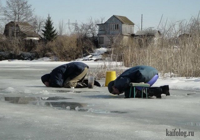 Приколы про рыбаков и рыбалку (50 фото)