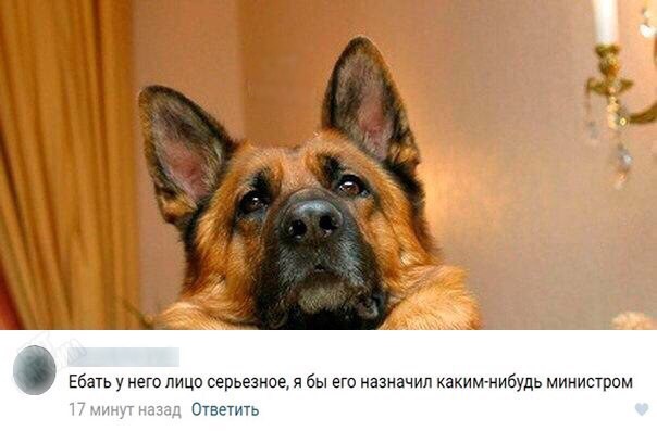 Смешные комментарии и высказывания из социальных сетей высказывания, комментарии, прикол