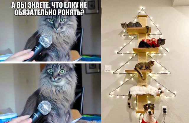 новогодняя елка и кот смешные картинки