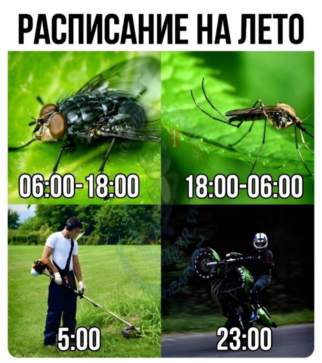 Анекдоты недели и клад 