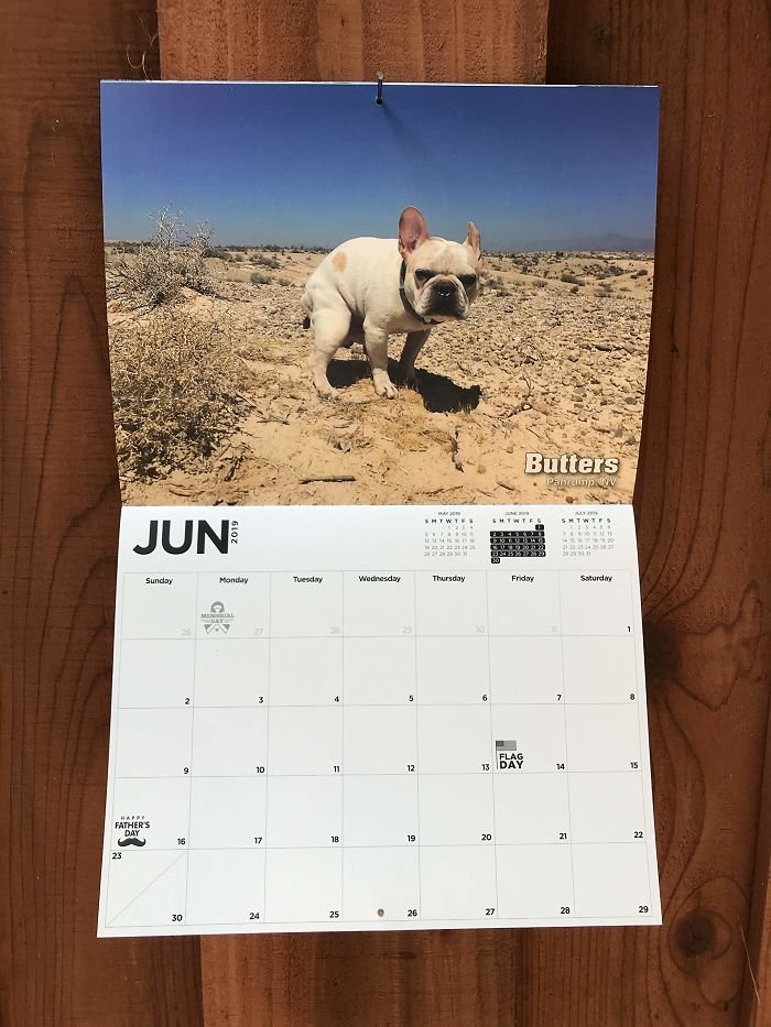 А это французский бульдог по кличке Butters, какающий в пустыне Мохаве, город Пахрамп животные, календарь, календарь 2019, креатив, прикол, собака, собаки, юмор