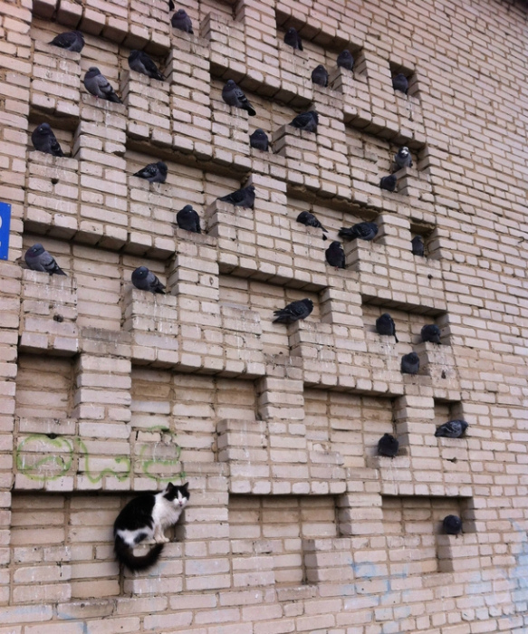 19 замечательных коллективов, в которые затесался чужак 