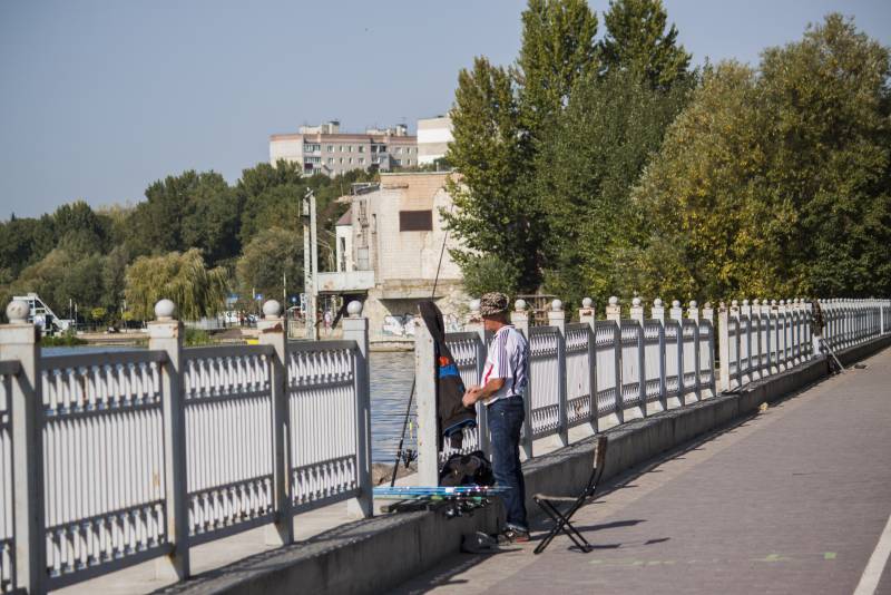 Записки Колорадского Таракана. Кто свинячит, тот не убирает? украина