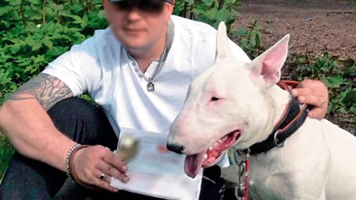 Цена красивой жизни