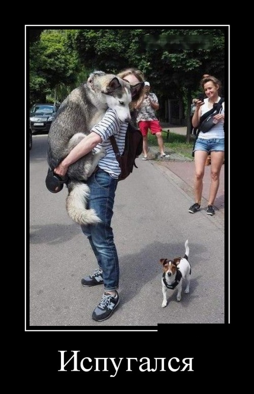 Мерседес депутата провалился в дорожную яму... Мерседес депутата провалился в дорожную яму... анекдоты,веселье,демотиваторы,приколы,смех,юмор