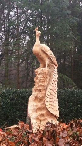 Птицы из дерева. Восхищаюсь мастерством и красотой! handmake,дерево,поделки своими руками