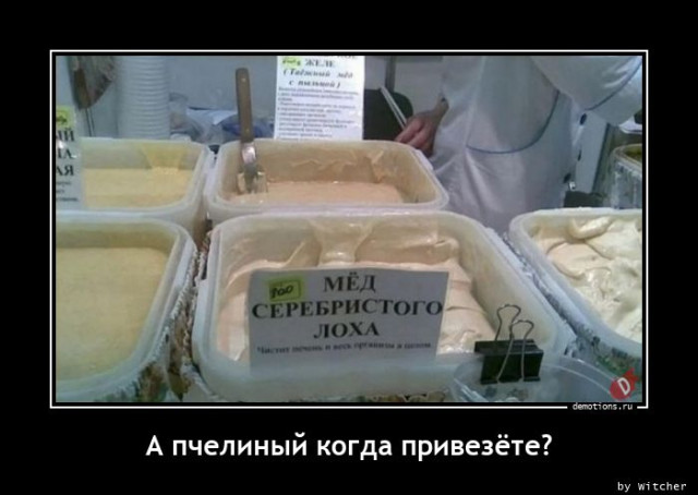 Демотиваторы для всех: «Чё вылупился?» Демотиваторы для всех: «Чё вылупился?»