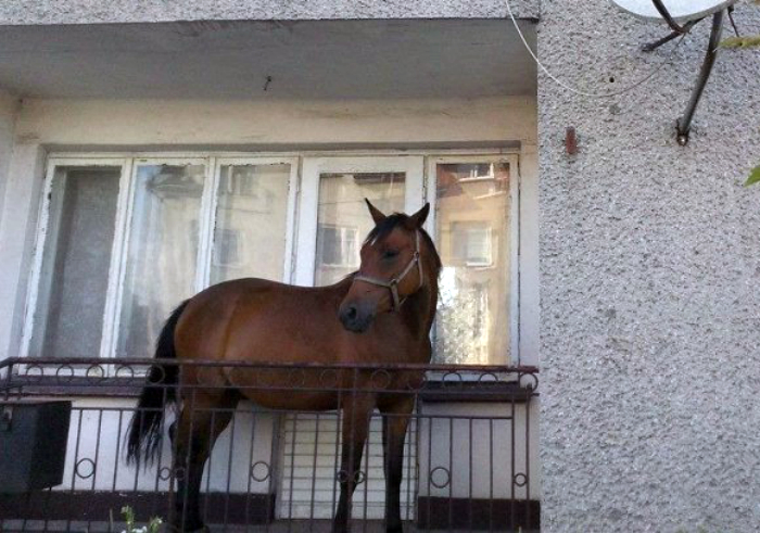 Стиль и шарм наших балконов Стиль и шарм наших балконов