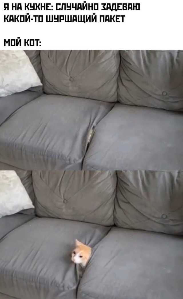 Подборка прикольных картинок  приколы,смешные картинки,юмор