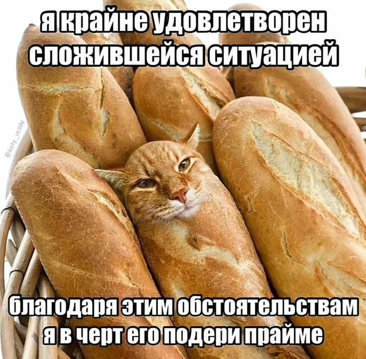 Эффект главного героя: что такое прайм, о котором говорят зумеры, и как его достичь жизнь, своей, жизни, наступает, кажется, можно, нужно, времени, прайме, хотите, такое, праймфото, жизнью, забывать, вперед, должен», получится, часто, прайм, может