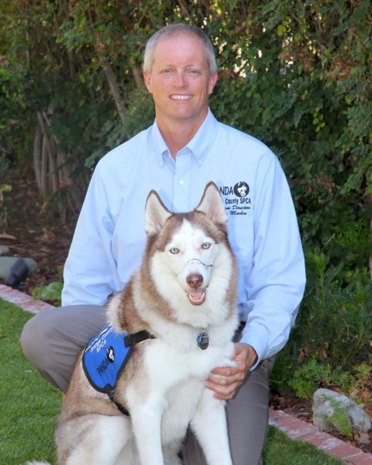 Kevin Marlin and Patroit