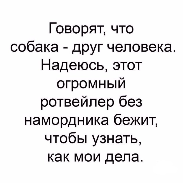 - Дорогая, завтра суббота. Надо будет с утра нам с тобой в гараж сходить... Весёлые