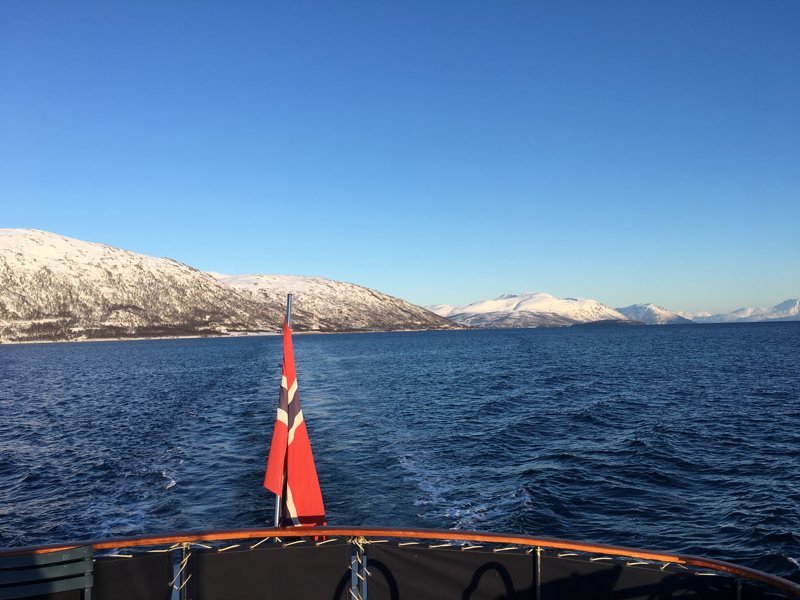 Фьерд #Норвегия, #природа, #путешествия, #фото