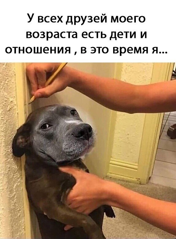 Приколы, которые поймут лишь люди, не состоящие в отношениях Приколы, которые поймут лишь люди, не состоящие в отношениях позитив,смешные картинки,юмор