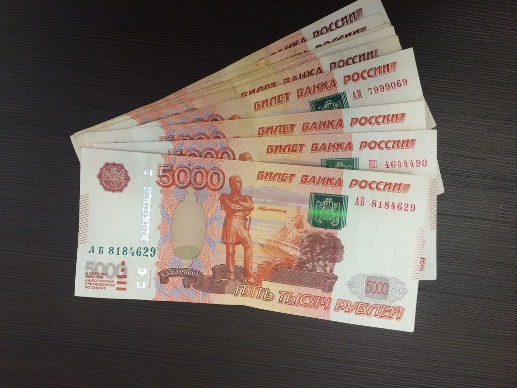 Петербургская пенсионерка отдала аферистам 800 тыс. рублей ради «спасения» внучки Происшествия