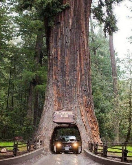 Позитивные моменты дня Позитивные моменты дня