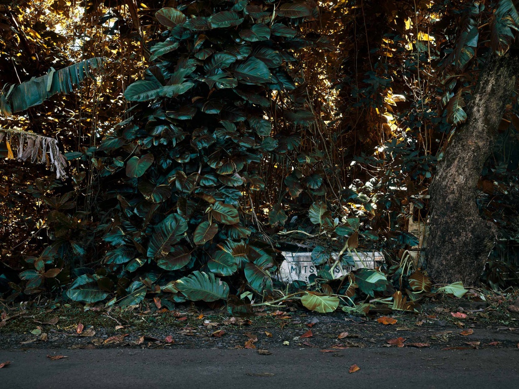 Брошенные тачки в гавайских джунглях: фотопроект Томаса Строгальски фотограф, Строгальски, человек, брошенные, Немецкий, старые, заросли, которые, до грузовиков, от седанов, автомобили —, Colossal Шероховатостями, он назвал, деревьями, изданию, рассказал, природе» —, и очаровательной, в пышной, высокими