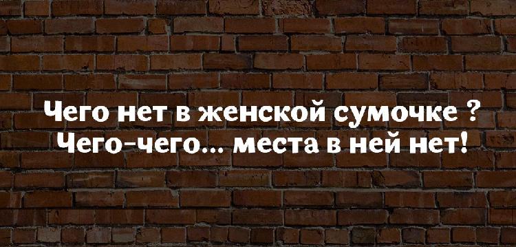Меткие юмористические высказывания от мудрых женщин Меткие юмористические высказывания от мудрых женщин