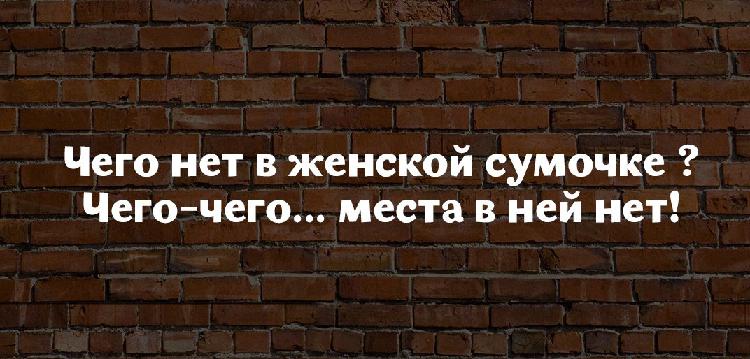 Меткие юмористические высказывания от мудрых женщин 