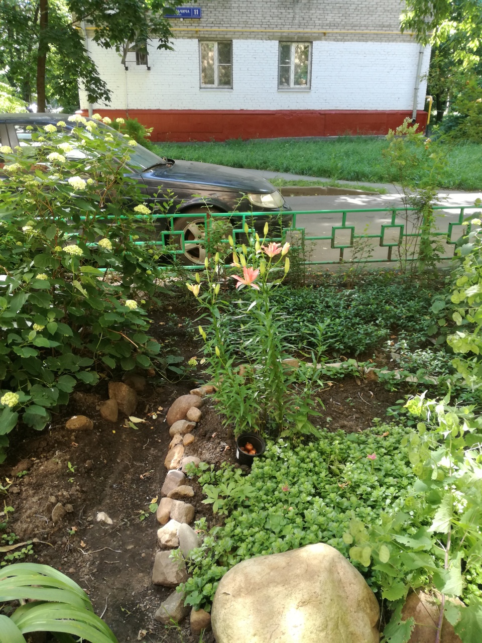 Мой сад за июль