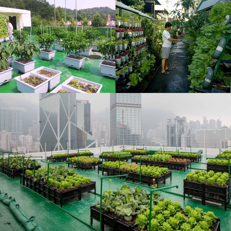 Утилизация пищевых отходов Утилизация пищевых отходов ЖКХ,утилизация отходов