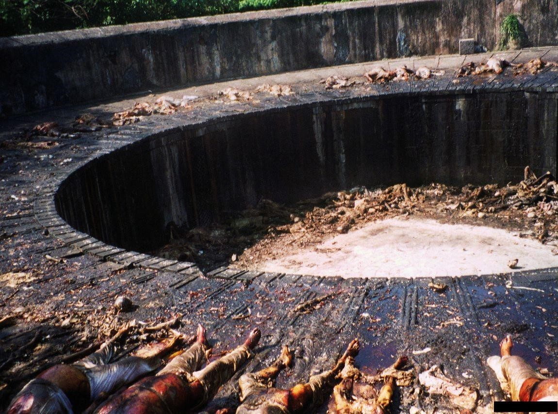 Ужасные Башни молчания. Впечатлительным не входить! Ужасные Башни молчания. Впечатлительным не входить! Индия,история,религия