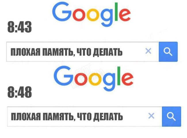 Веселые и прикольные картинки с надписью до слез (11 фото)