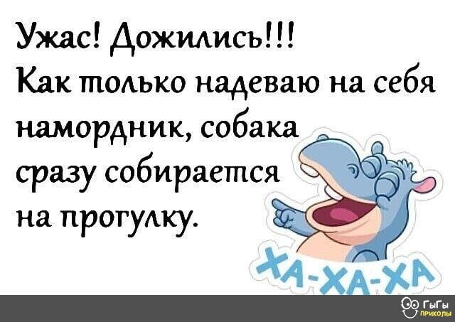 Юмор из интернета 697 Юмор из интернета 697 веселье,позитив,смех,улыбки,юмор