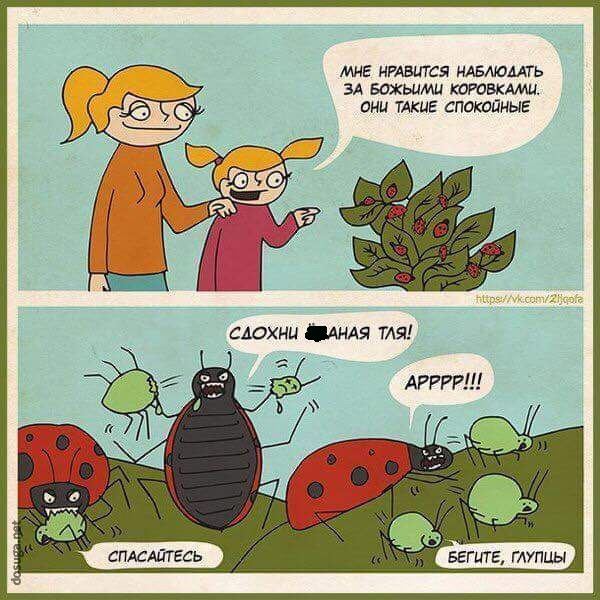 Зверский юмор Зверский юмор