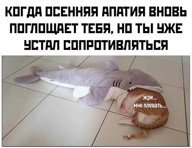 Подборка прикольных картинок  приколы,смешные картинки,юмор