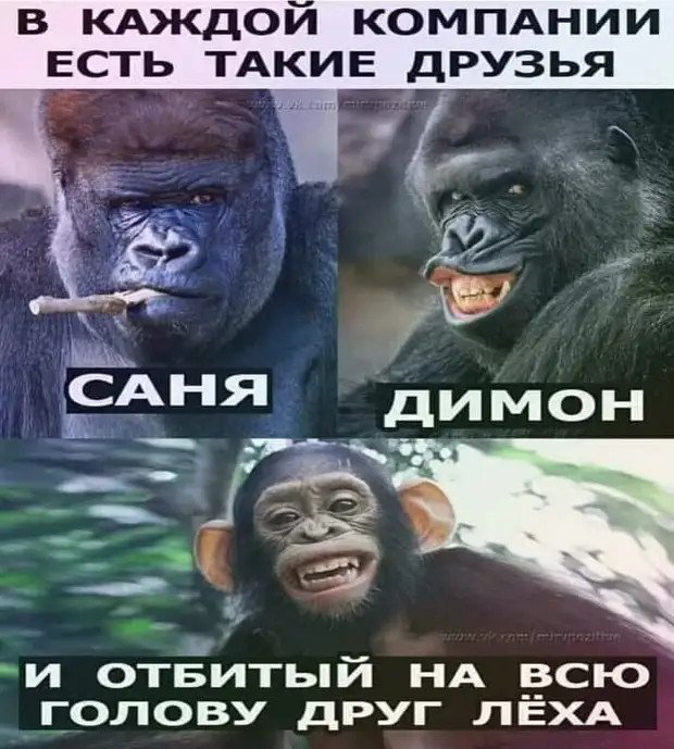 Тощая корова еще не газель... когда, только, знает, Потом, будильник, родила, руках, БУДИЛЬHИКА–, какая, махонькая, можно, погладить, настолько, подержать, Уберите, каpман, турок, странная, память, очень