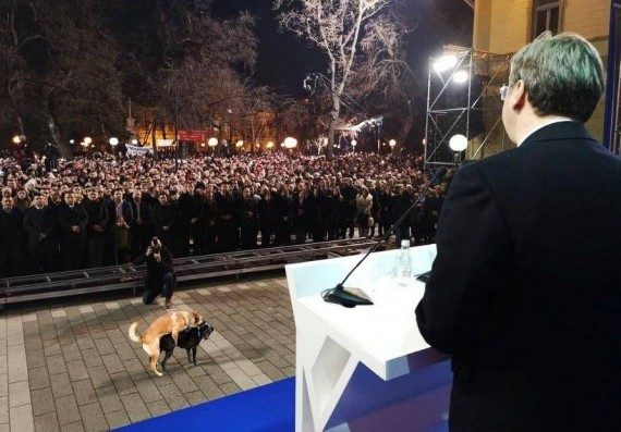 Позитивные моменты дня Позитивные моменты дня