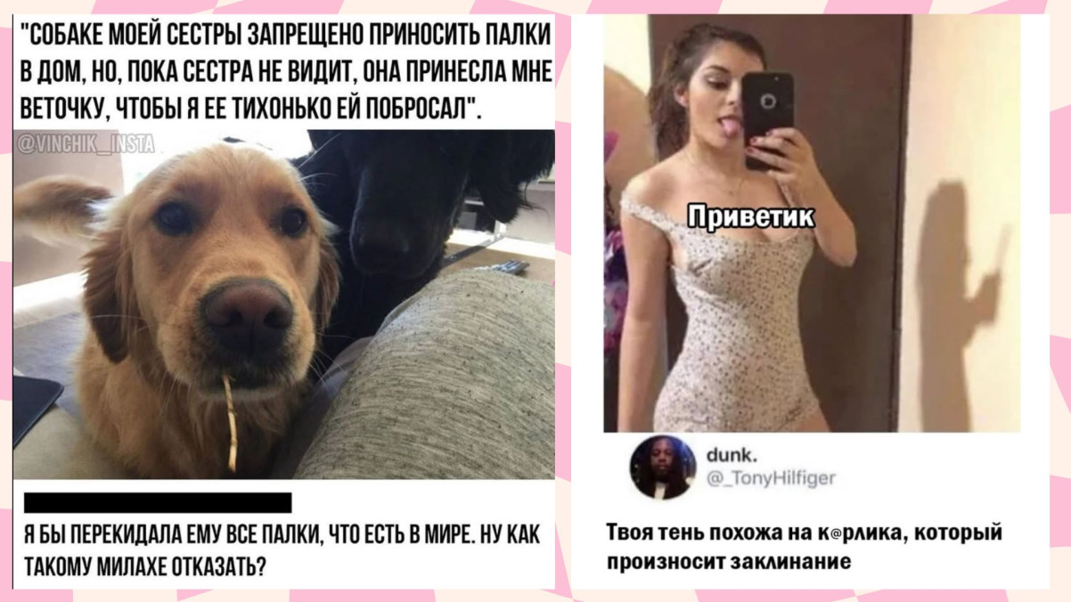 Шутки должны быть неожиданными. Как веер у бомжа 