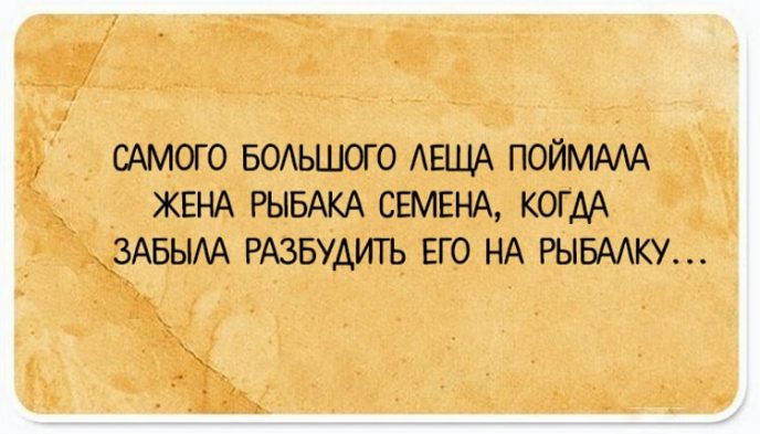 Смешные строки о жизни 