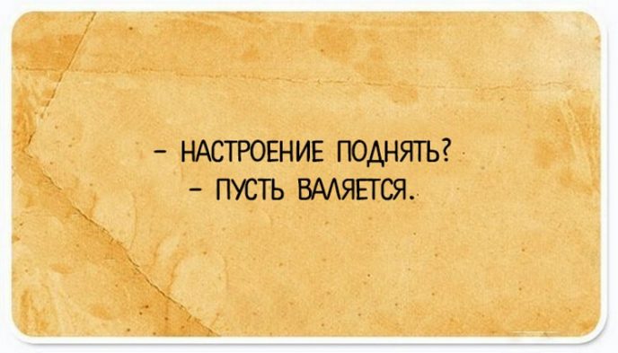 Смешные строки о жизни 